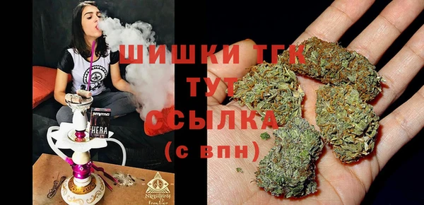 PSILOCYBIN Вяземский