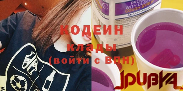 PSILOCYBIN Вяземский