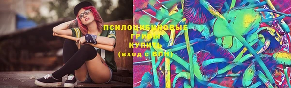 PSILOCYBIN Вяземский