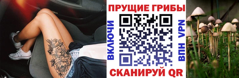 shop Telegram  Электросталь  Галлюциногенные грибы GOLDEN TEACHER  купить наркоту 