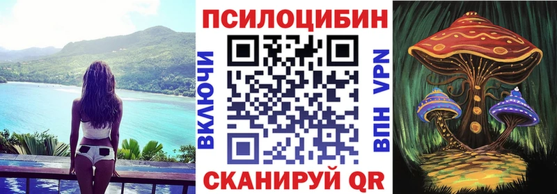 Галлюциногенные грибы Cubensis Электросталь
